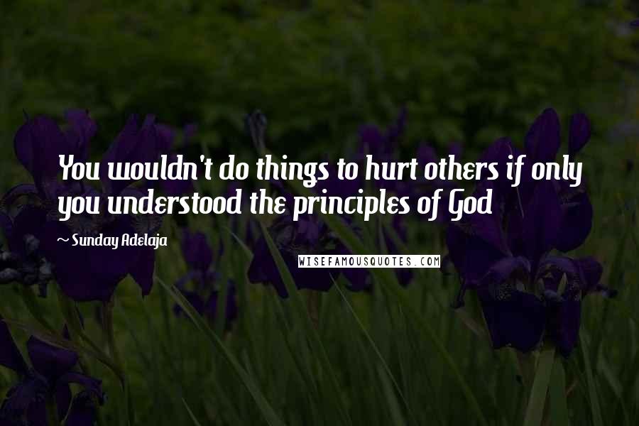 Sunday Adelaja Quotes: You wouldn't do things to hurt others if only you understood the principles of God