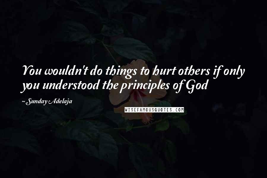 Sunday Adelaja Quotes: You wouldn't do things to hurt others if only you understood the principles of God