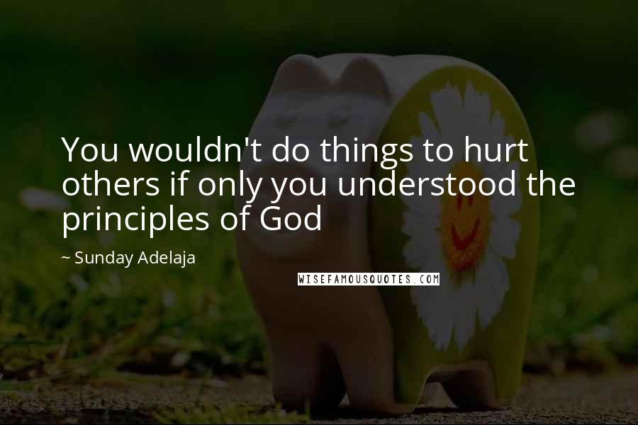 Sunday Adelaja Quotes: You wouldn't do things to hurt others if only you understood the principles of God