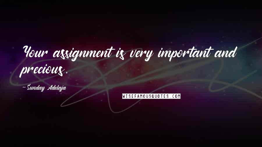 Sunday Adelaja Quotes: Your assignment is very important and precious.