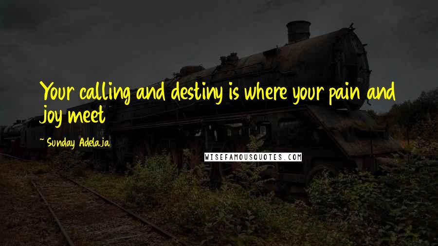 Sunday Adelaja Quotes: Your calling and destiny is where your pain and joy meet