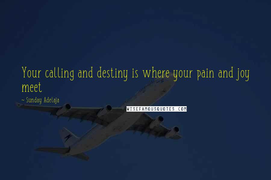 Sunday Adelaja Quotes: Your calling and destiny is where your pain and joy meet