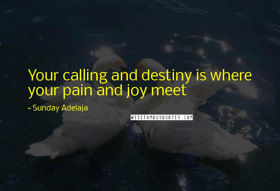 Sunday Adelaja Quotes: Your calling and destiny is where your pain and joy meet