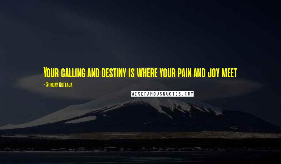 Sunday Adelaja Quotes: Your calling and destiny is where your pain and joy meet