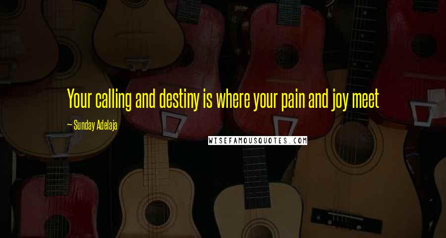 Sunday Adelaja Quotes: Your calling and destiny is where your pain and joy meet