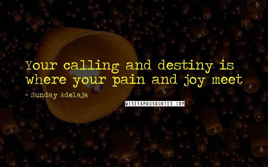 Sunday Adelaja Quotes: Your calling and destiny is where your pain and joy meet