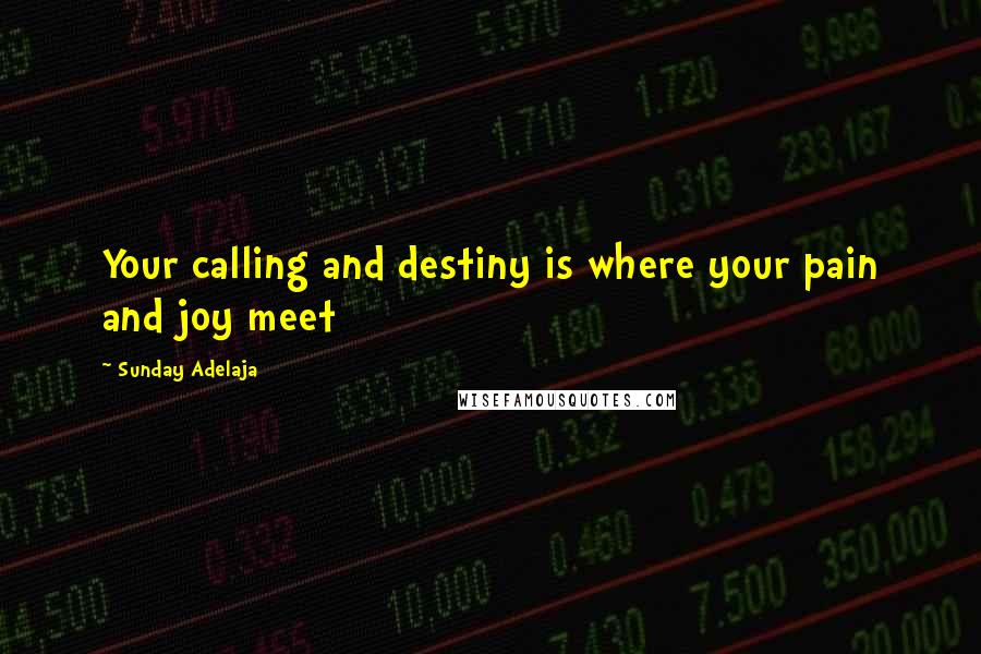 Sunday Adelaja Quotes: Your calling and destiny is where your pain and joy meet