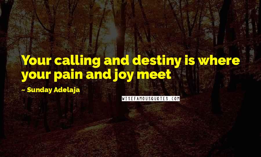 Sunday Adelaja Quotes: Your calling and destiny is where your pain and joy meet