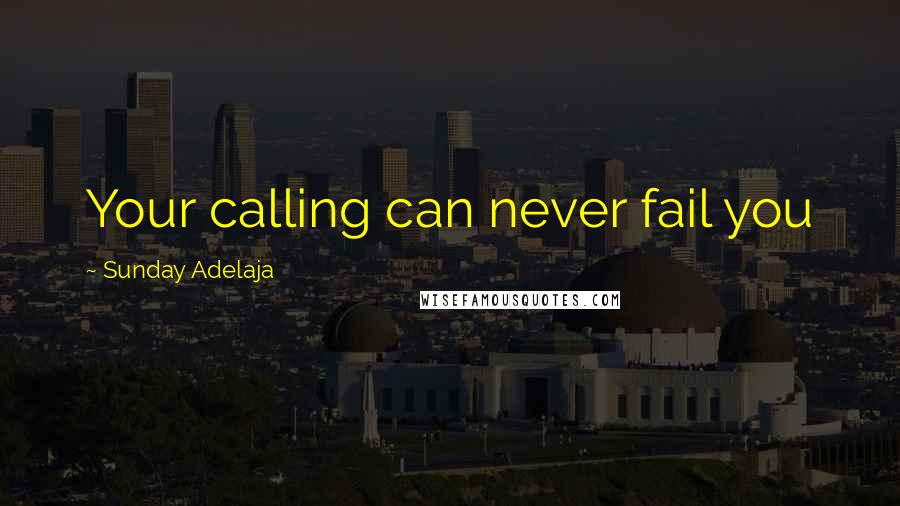 Sunday Adelaja Quotes: Your calling can never fail you