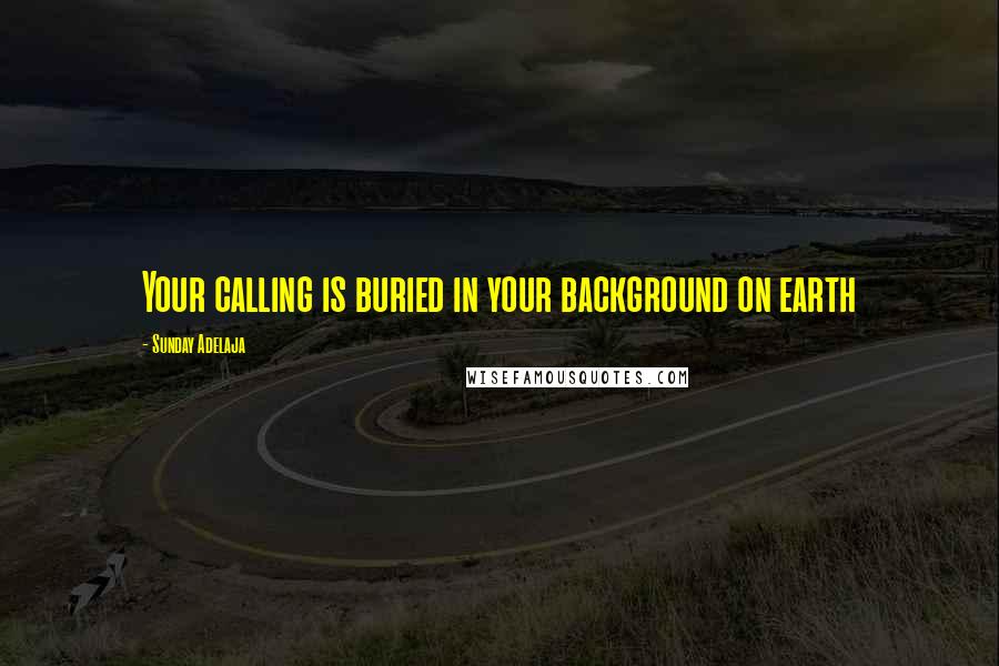 Sunday Adelaja Quotes: Your calling is buried in your background on earth