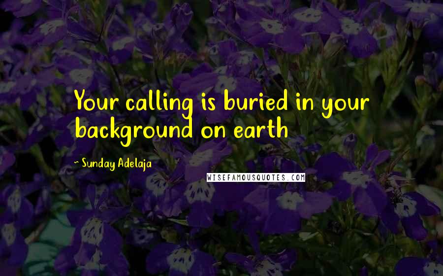 Sunday Adelaja Quotes: Your calling is buried in your background on earth