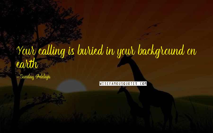 Sunday Adelaja Quotes: Your calling is buried in your background on earth