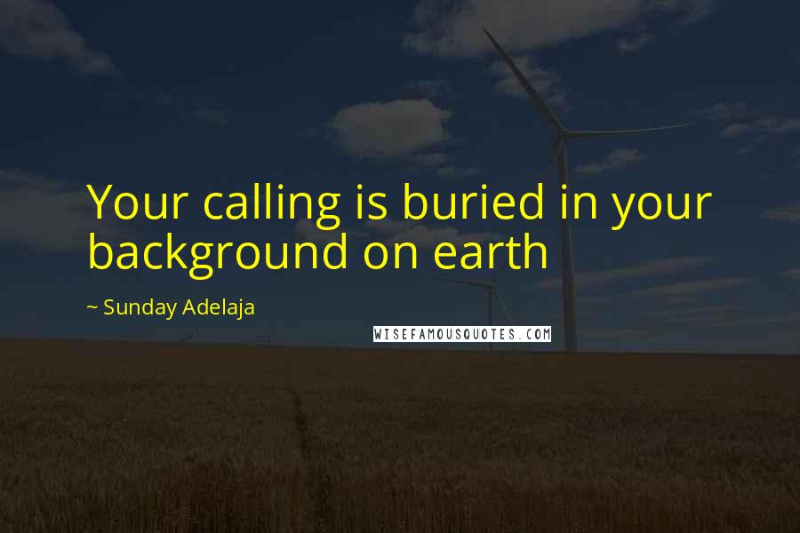 Sunday Adelaja Quotes: Your calling is buried in your background on earth