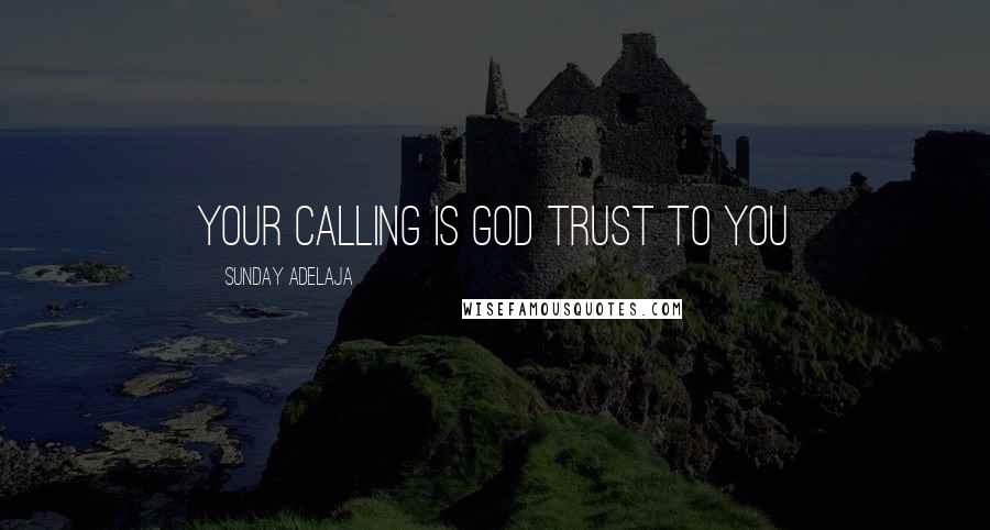 Sunday Adelaja Quotes: Your calling is God trust to you