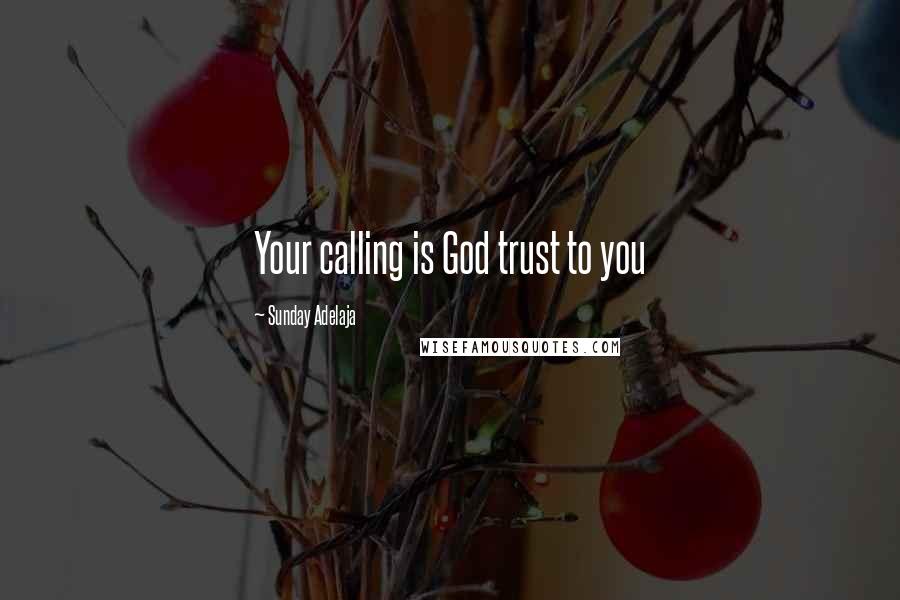 Sunday Adelaja Quotes: Your calling is God trust to you