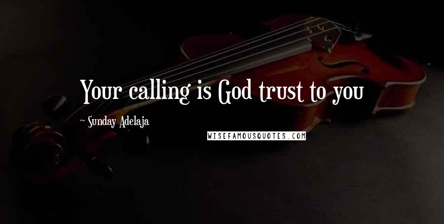 Sunday Adelaja Quotes: Your calling is God trust to you