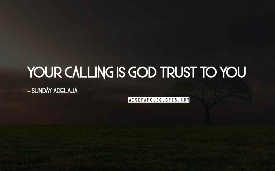 Sunday Adelaja Quotes: Your calling is God trust to you