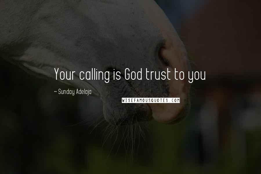 Sunday Adelaja Quotes: Your calling is God trust to you