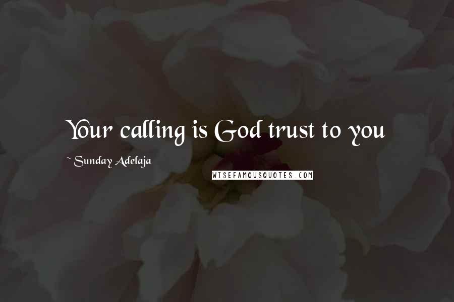 Sunday Adelaja Quotes: Your calling is God trust to you