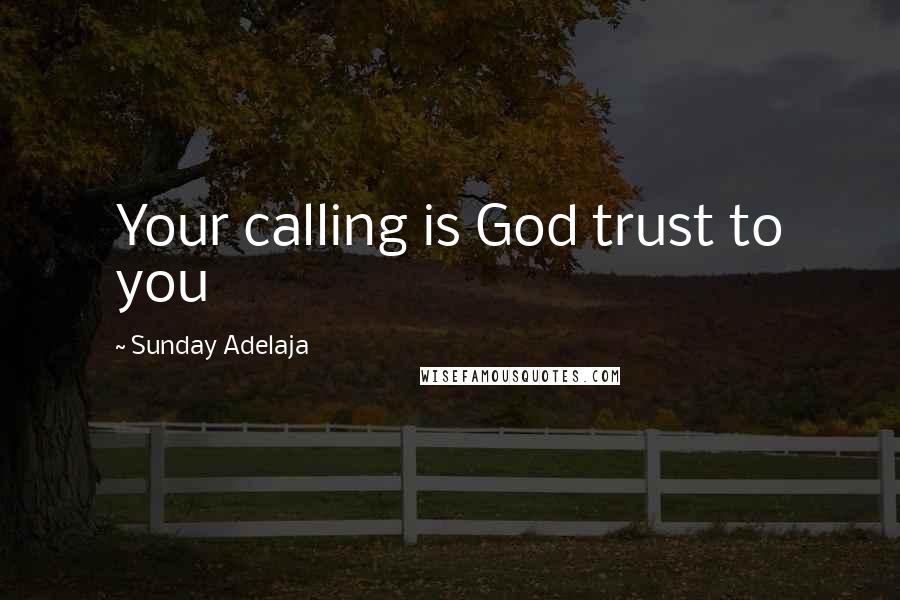 Sunday Adelaja Quotes: Your calling is God trust to you