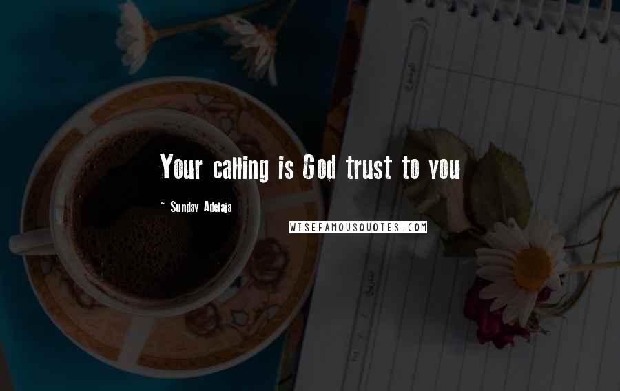 Sunday Adelaja Quotes: Your calling is God trust to you