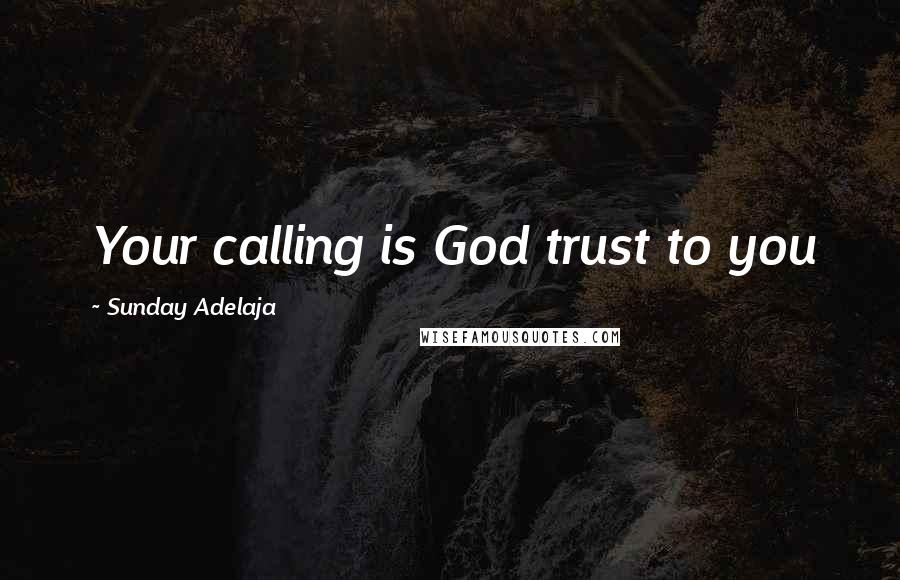 Sunday Adelaja Quotes: Your calling is God trust to you