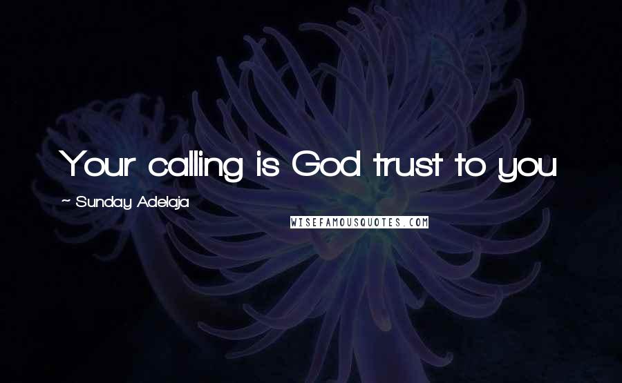 Sunday Adelaja Quotes: Your calling is God trust to you