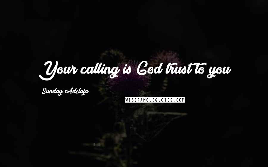 Sunday Adelaja Quotes: Your calling is God trust to you