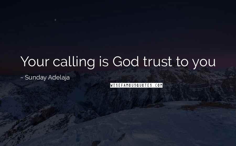 Sunday Adelaja Quotes: Your calling is God trust to you