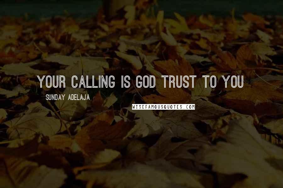 Sunday Adelaja Quotes: Your calling is God trust to you