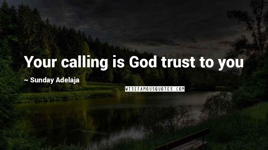 Sunday Adelaja Quotes: Your calling is God trust to you