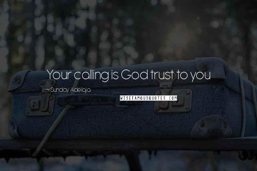 Sunday Adelaja Quotes: Your calling is God trust to you