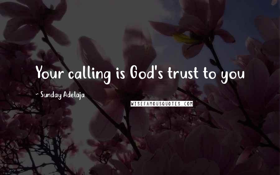 Sunday Adelaja Quotes: Your calling is God's trust to you