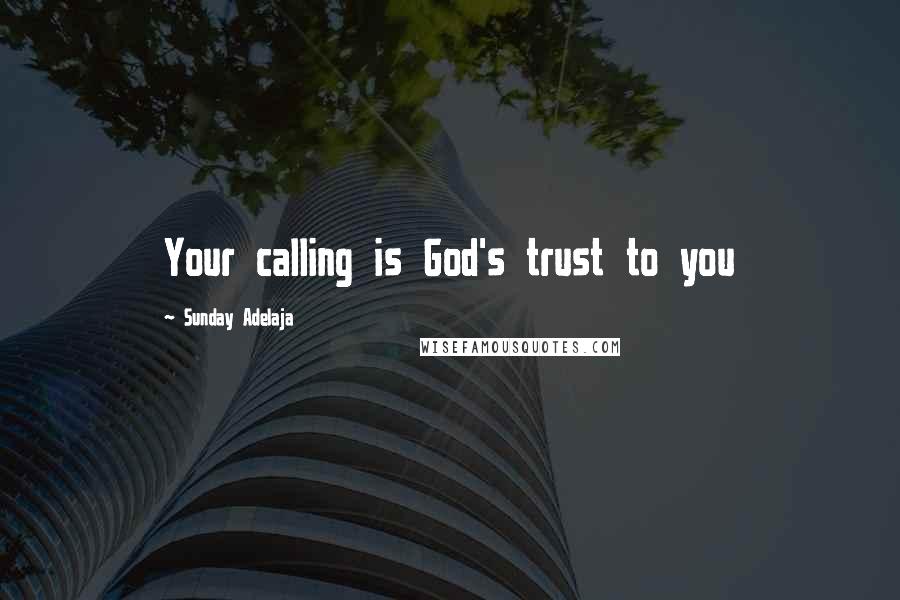 Sunday Adelaja Quotes: Your calling is God's trust to you