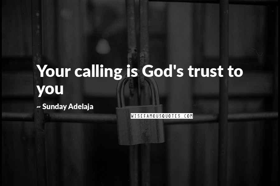 Sunday Adelaja Quotes: Your calling is God's trust to you