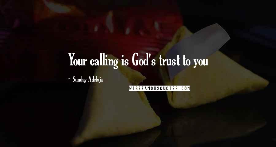 Sunday Adelaja Quotes: Your calling is God's trust to you