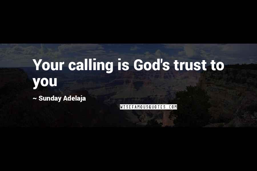 Sunday Adelaja Quotes: Your calling is God's trust to you