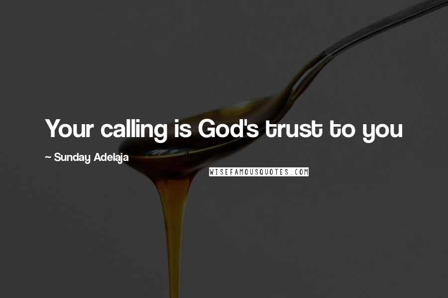 Sunday Adelaja Quotes: Your calling is God's trust to you