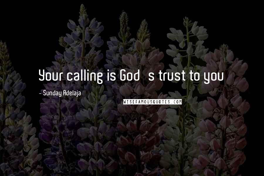 Sunday Adelaja Quotes: Your calling is God's trust to you