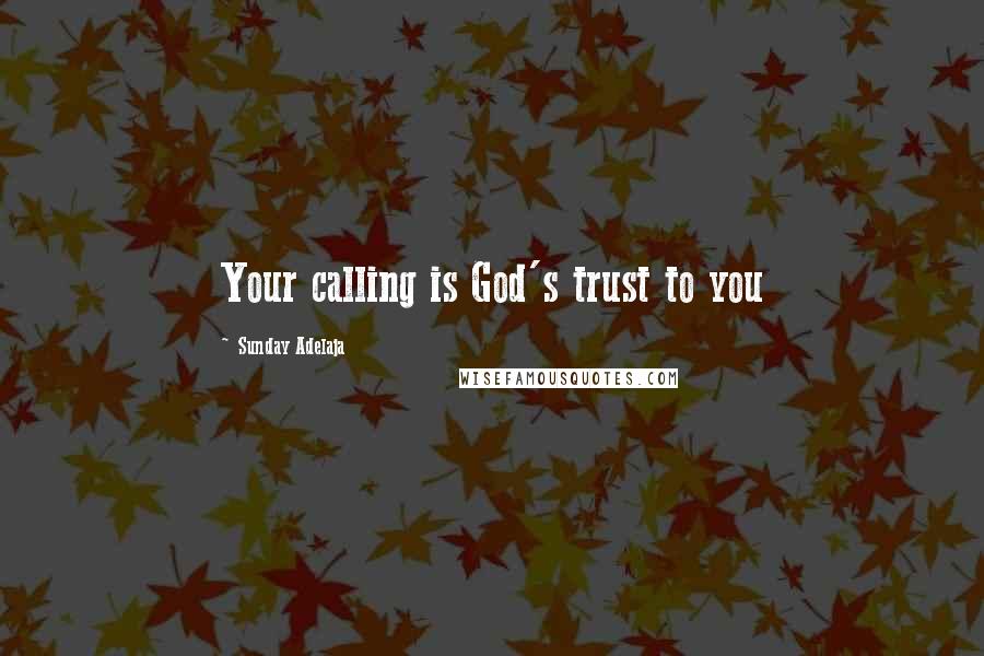 Sunday Adelaja Quotes: Your calling is God's trust to you