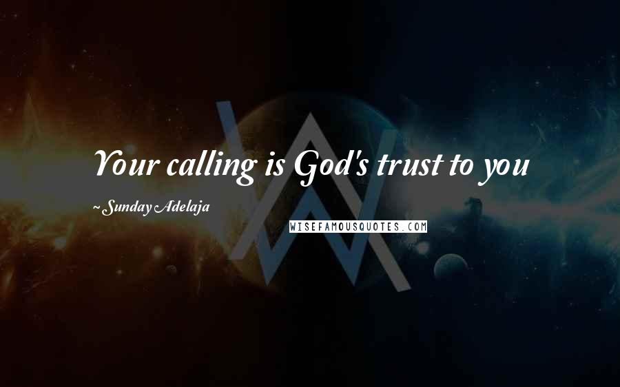 Sunday Adelaja Quotes: Your calling is God's trust to you