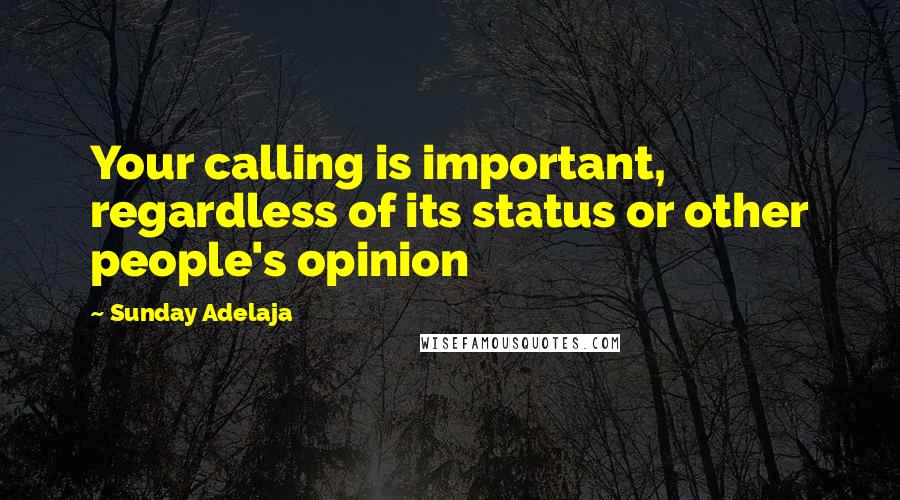 Sunday Adelaja Quotes: Your calling is important, regardless of its status or other people's opinion