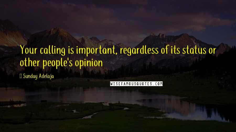 Sunday Adelaja Quotes: Your calling is important, regardless of its status or other people's opinion