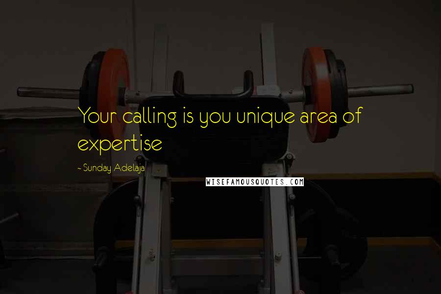 Sunday Adelaja Quotes: Your calling is you unique area of expertise