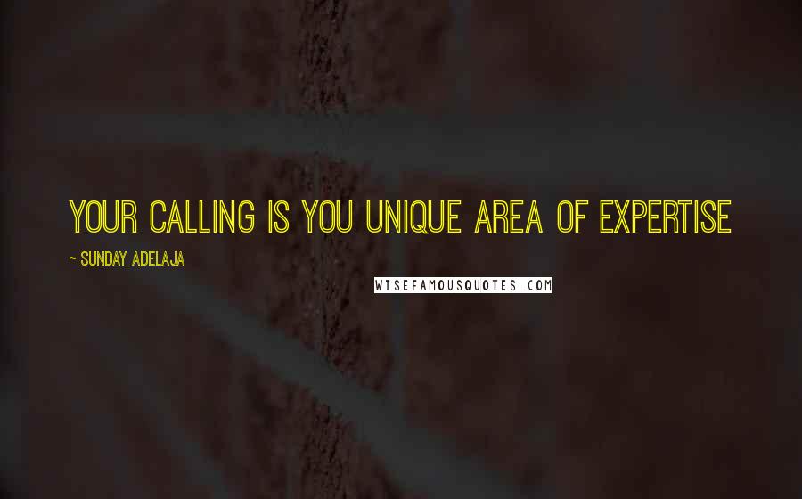 Sunday Adelaja Quotes: Your calling is you unique area of expertise