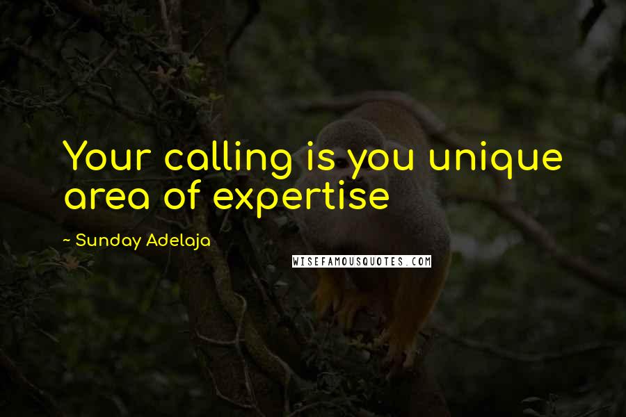 Sunday Adelaja Quotes: Your calling is you unique area of expertise