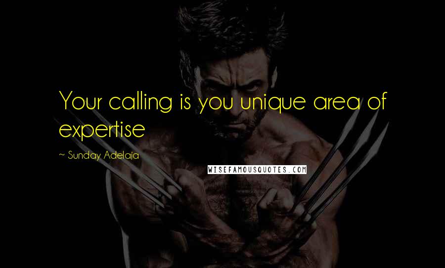 Sunday Adelaja Quotes: Your calling is you unique area of expertise