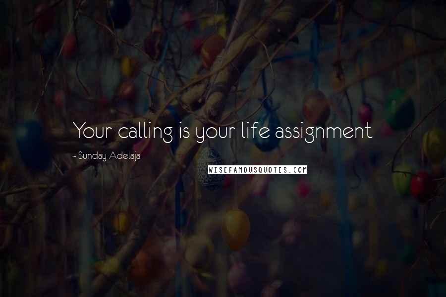 Sunday Adelaja Quotes: Your calling is your life assignment