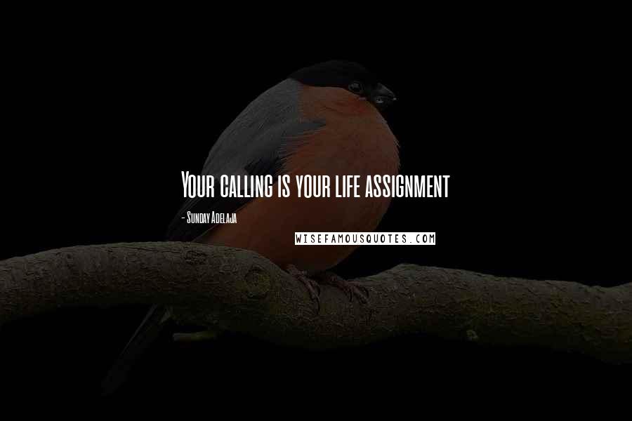 Sunday Adelaja Quotes: Your calling is your life assignment