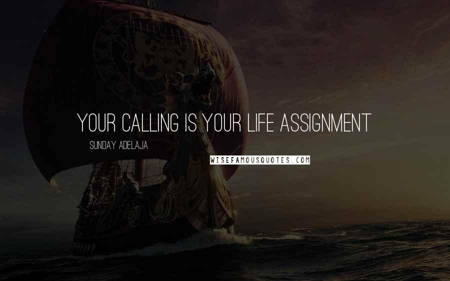 Sunday Adelaja Quotes: Your calling is your life assignment